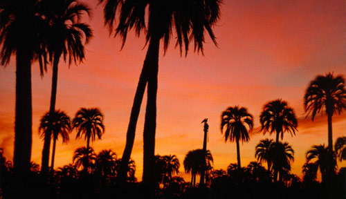 Parque Nacional El Palmar en Coln, Entre Ros