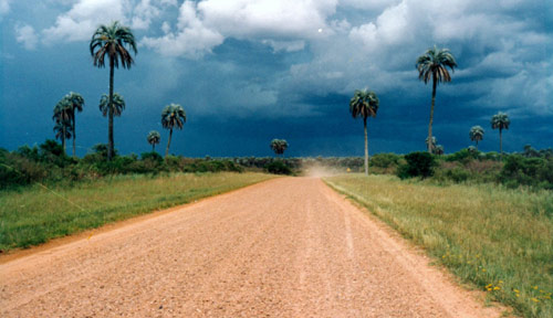 Parque Nacional El Palmar en Coln, Entre Ros